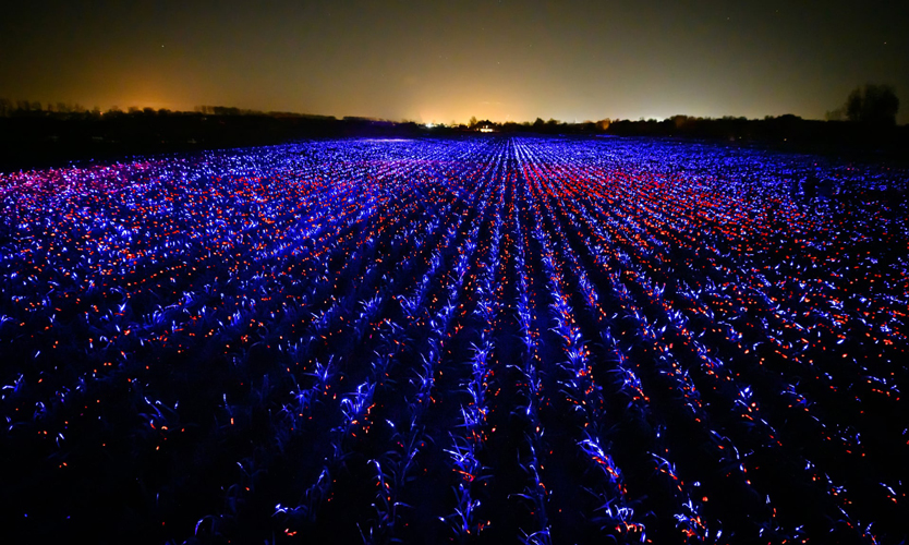 Фото: Daan Roosegaarde / Studio Roosegaarde