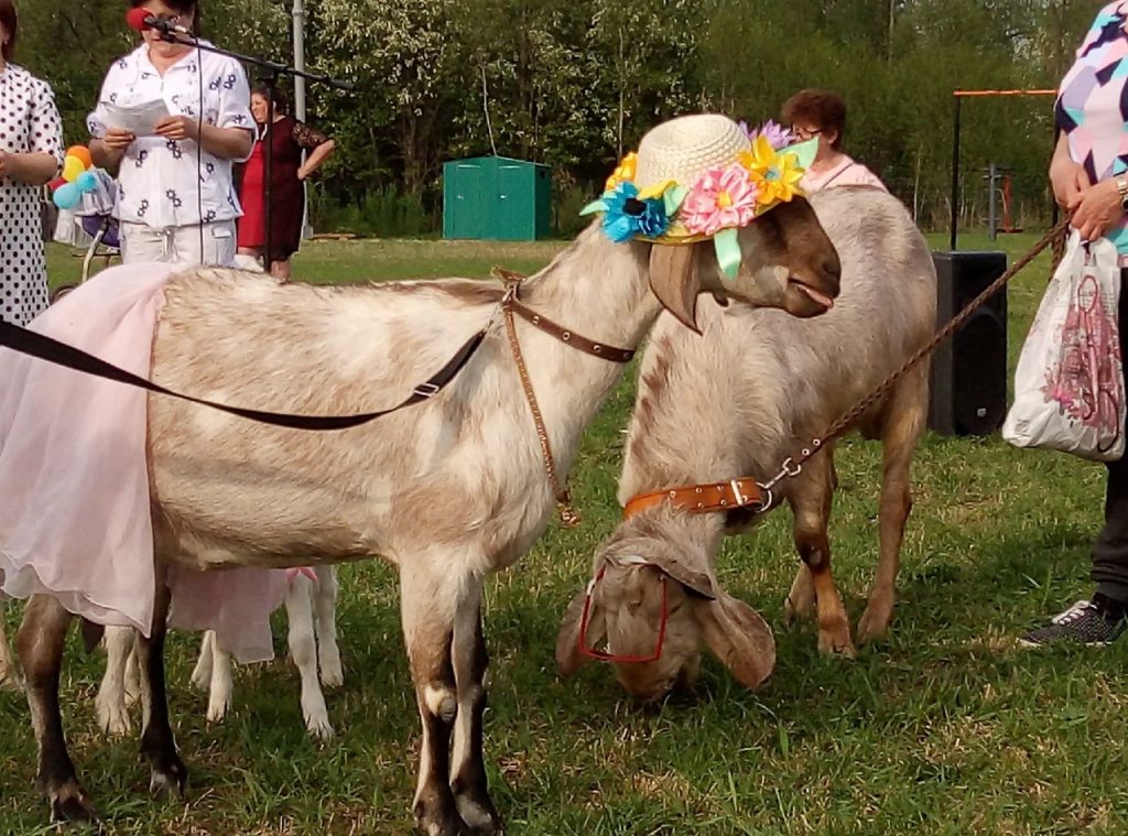 Фото: Сюмсинский дом культуры / vk.com