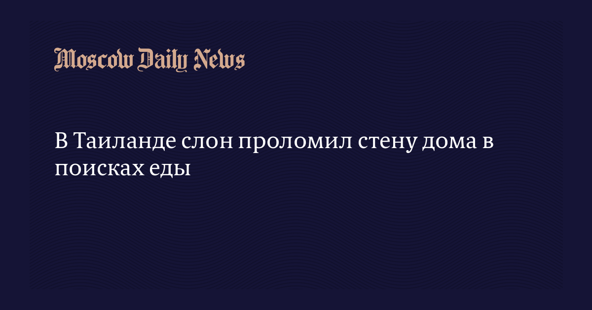 В таиланде слон проломил стену жилого дома и украл из кухни еду