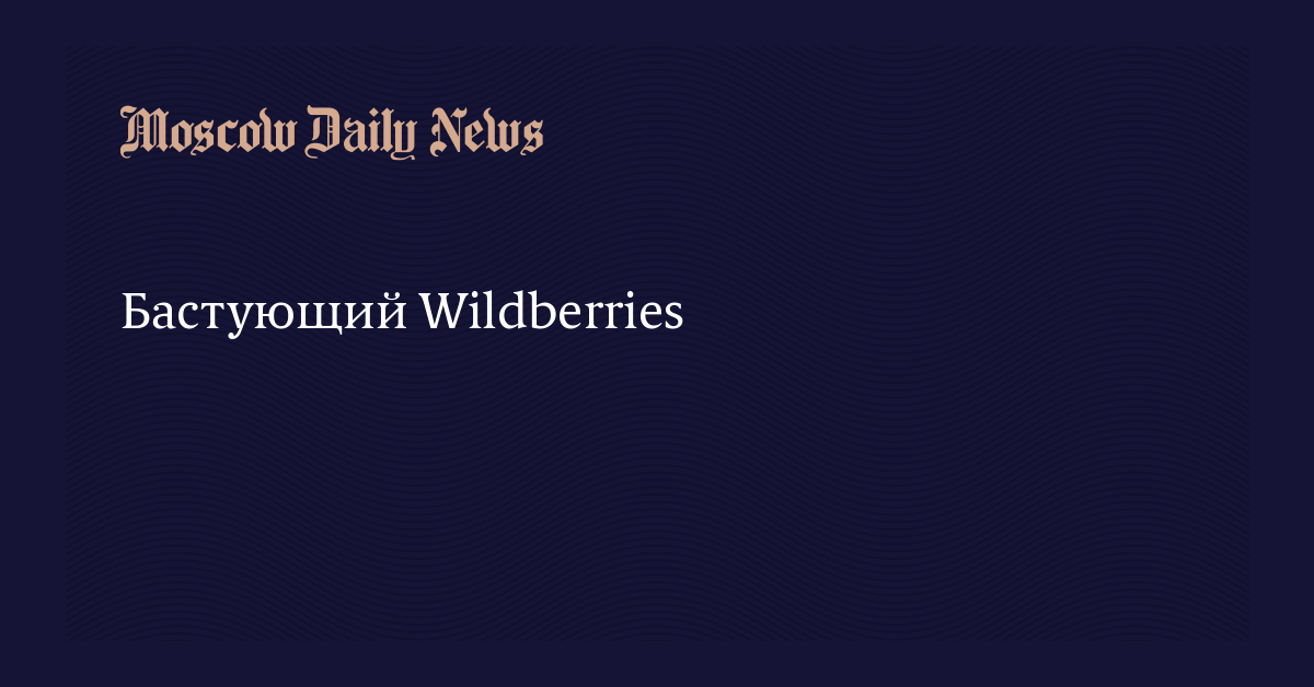 Где находится руководство wildberries