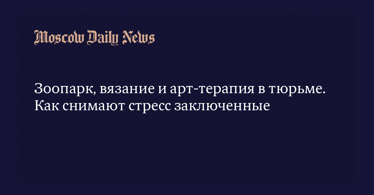 Зоопарк, вязание и арт-терапия в тюрьме. Как снимают стресс заключенные